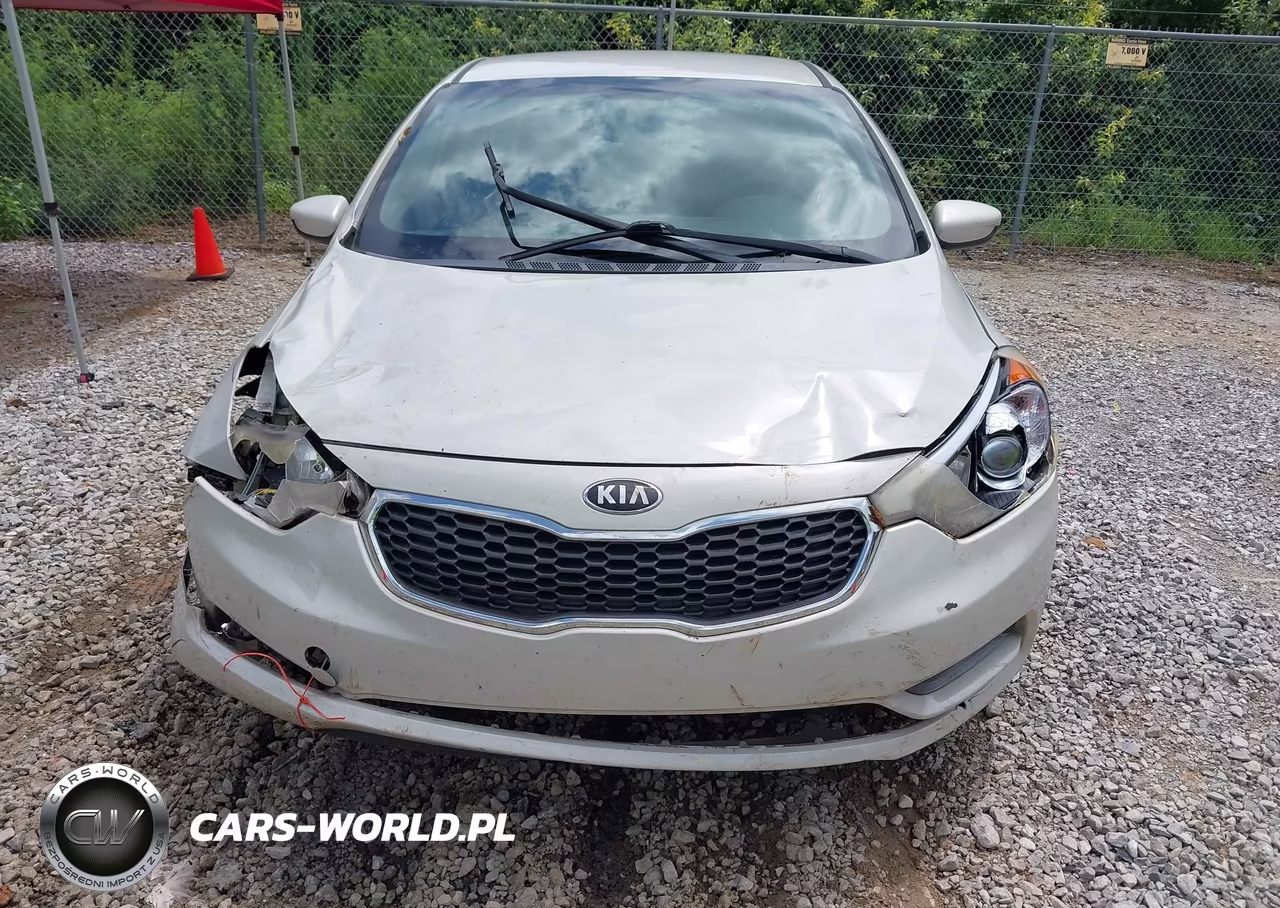 2015 Kia Forte Lx VIN:KNAFK4A69F5265927 - 6