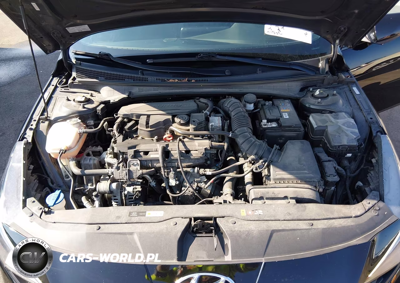 2021 Hyundai Elantra N Line VIN:KMHLR4AF8MU105960 - 10