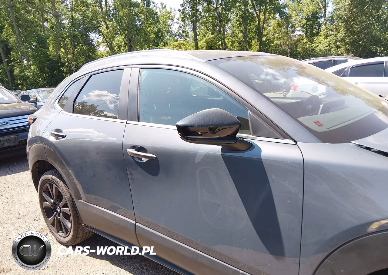 2024 Mazda Cx-30 2.5 S Carbon Edition VIN:3MVDMBCM6RM665297 - 13