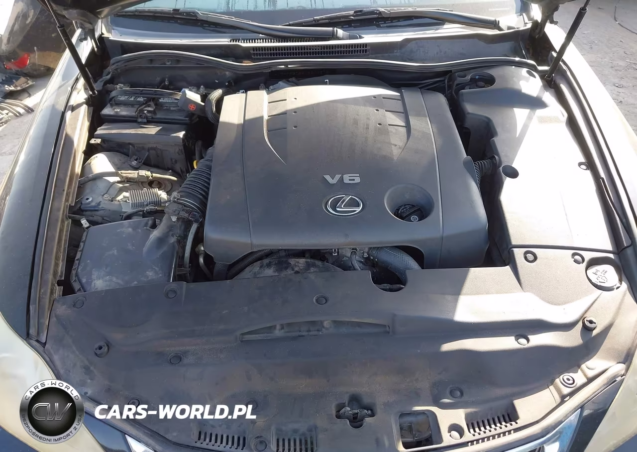 2010 Lexus Is 250C VIN:JTHFF2C25A2504372 - 10