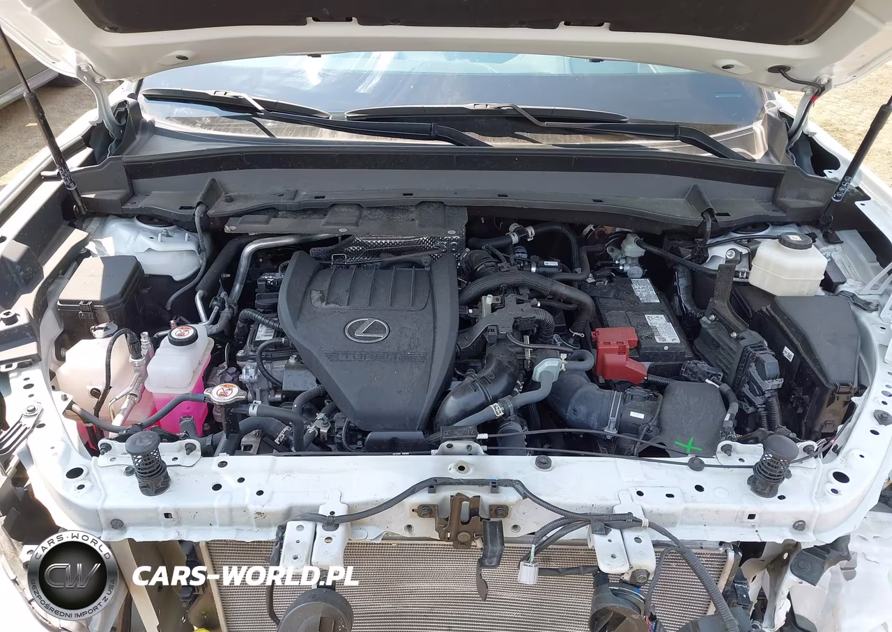 2024 Lexus Tx 350 Luxury VIN:5TDAAAB6XRS019013 - 10