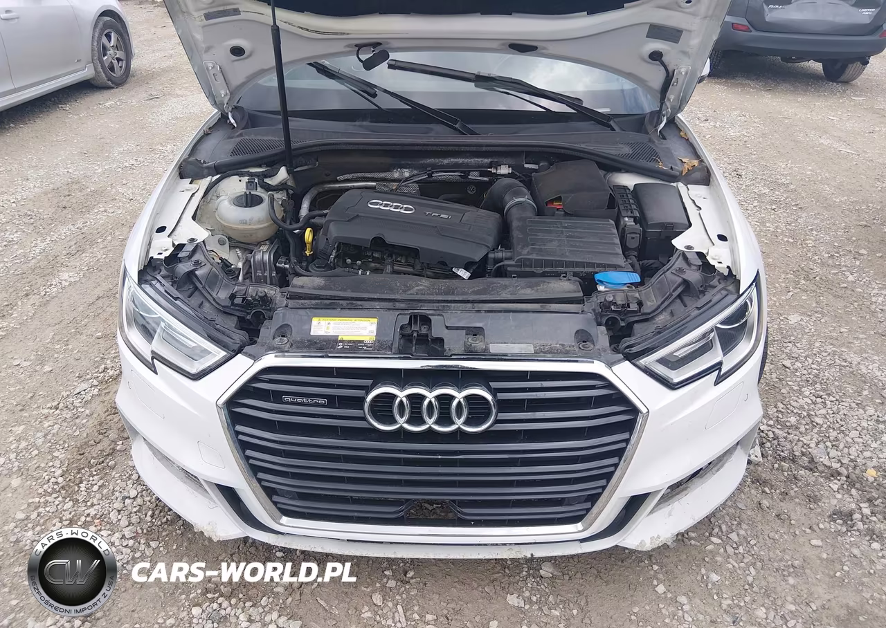 2017 Audi A3 Premium Plus VIN:WAUJ8GFF1H1048594 - 10