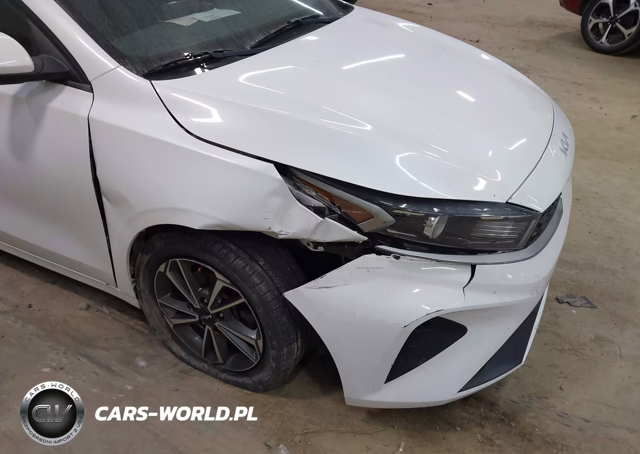 2022 Kia Forte Lxs VIN:3KPF24AD7NE431866 - 17