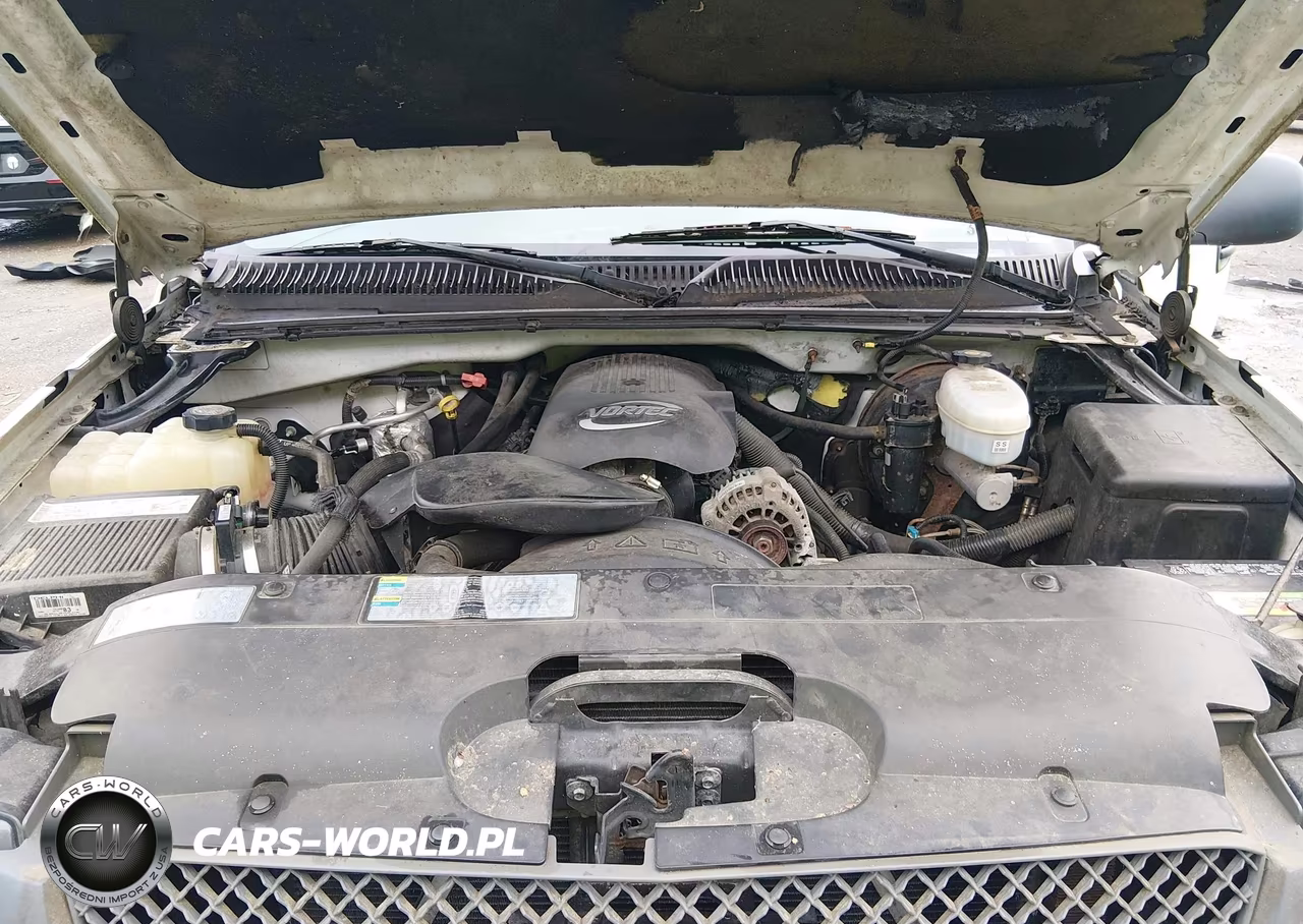 2004 Chevrolet Silverado 1500 Work Truck VIN:1GCEC14VX4E106733 - 10