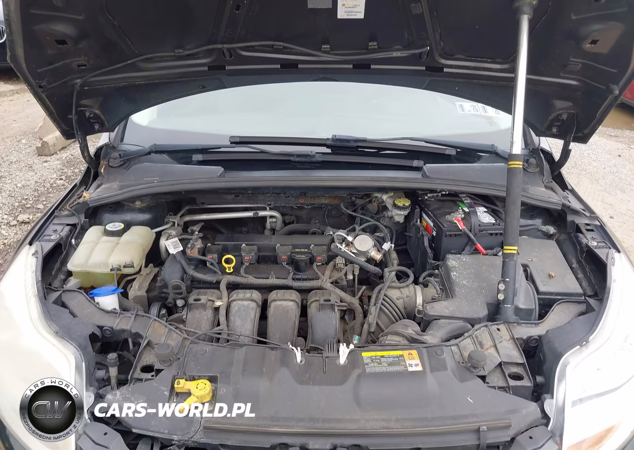2013 Ford Focus Se VIN:1FADP3F26DL141625 - 10