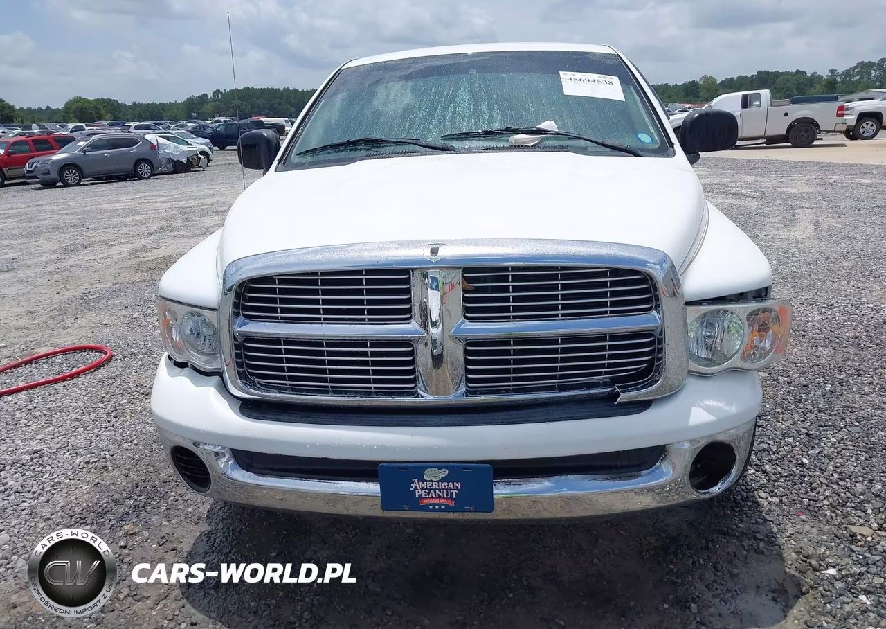 2003 Dodge Ram 1500 Slt-Laramie-St VIN:1D7HA16D03J575039 - 12