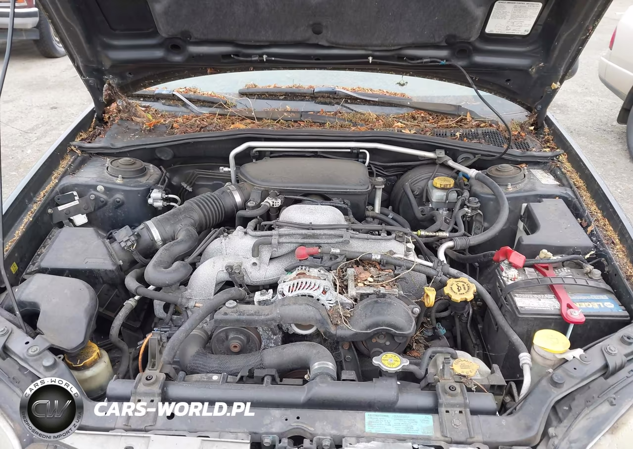 2006 Subaru Impreza Outback Sport VIN:JF1GG68626H818299 - 10