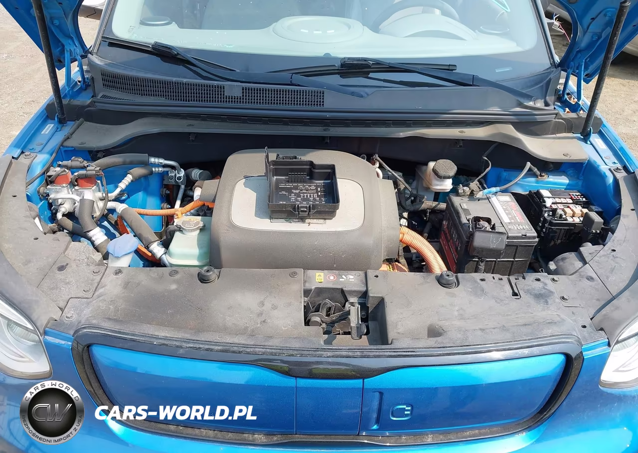 2015 Kia Soul Ev + VIN:KNDJX3AE7F7001223 - 10