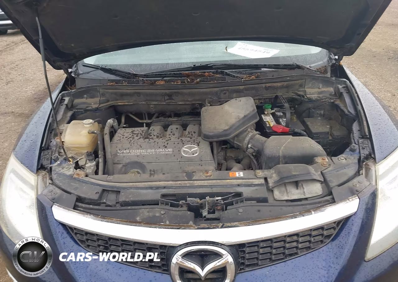 2007 Mazda Cx-9 Touring VIN:JM3TB28Y270120123 - 10