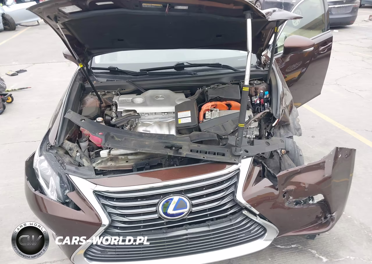 2018 Lexus Es 300H VIN:JTHBW1GG4J2169457 - 10