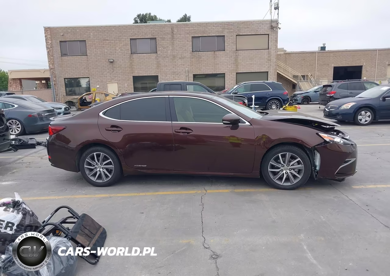 2018 Lexus Es 300H VIN:JTHBW1GG4J2169457 - 13