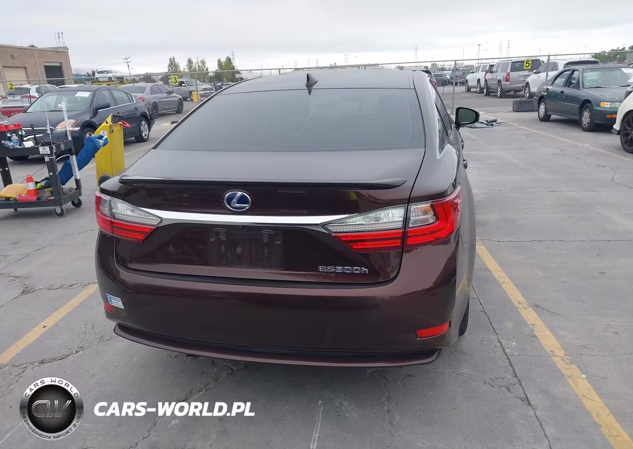 2018 Lexus Es 300H VIN:JTHBW1GG4J2169457 - 16