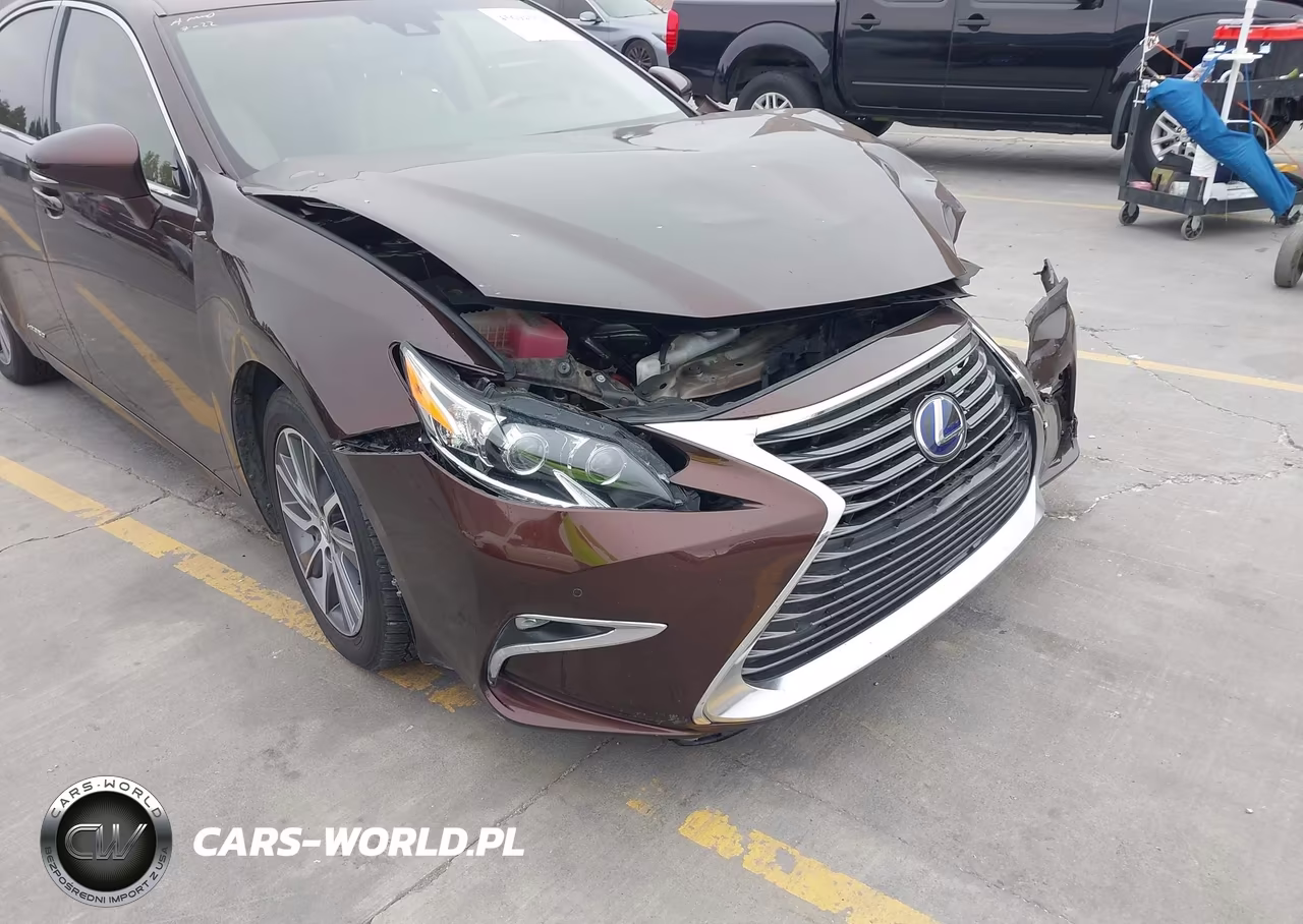 2018 Lexus Es 300H VIN:JTHBW1GG4J2169457 - 17