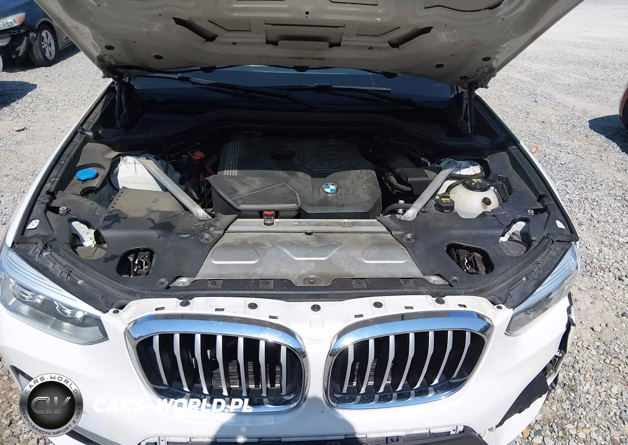 2021 BMW X3 Sdrive30I VIN:5UXTY3C03M9E27372 - 10