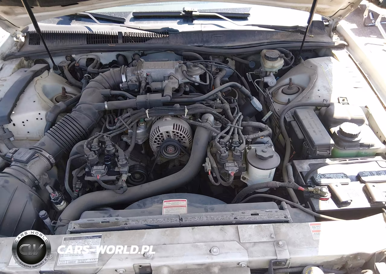1997 Ford Thunderbird Lx VIN:1FALP62W0VH102488 - 10