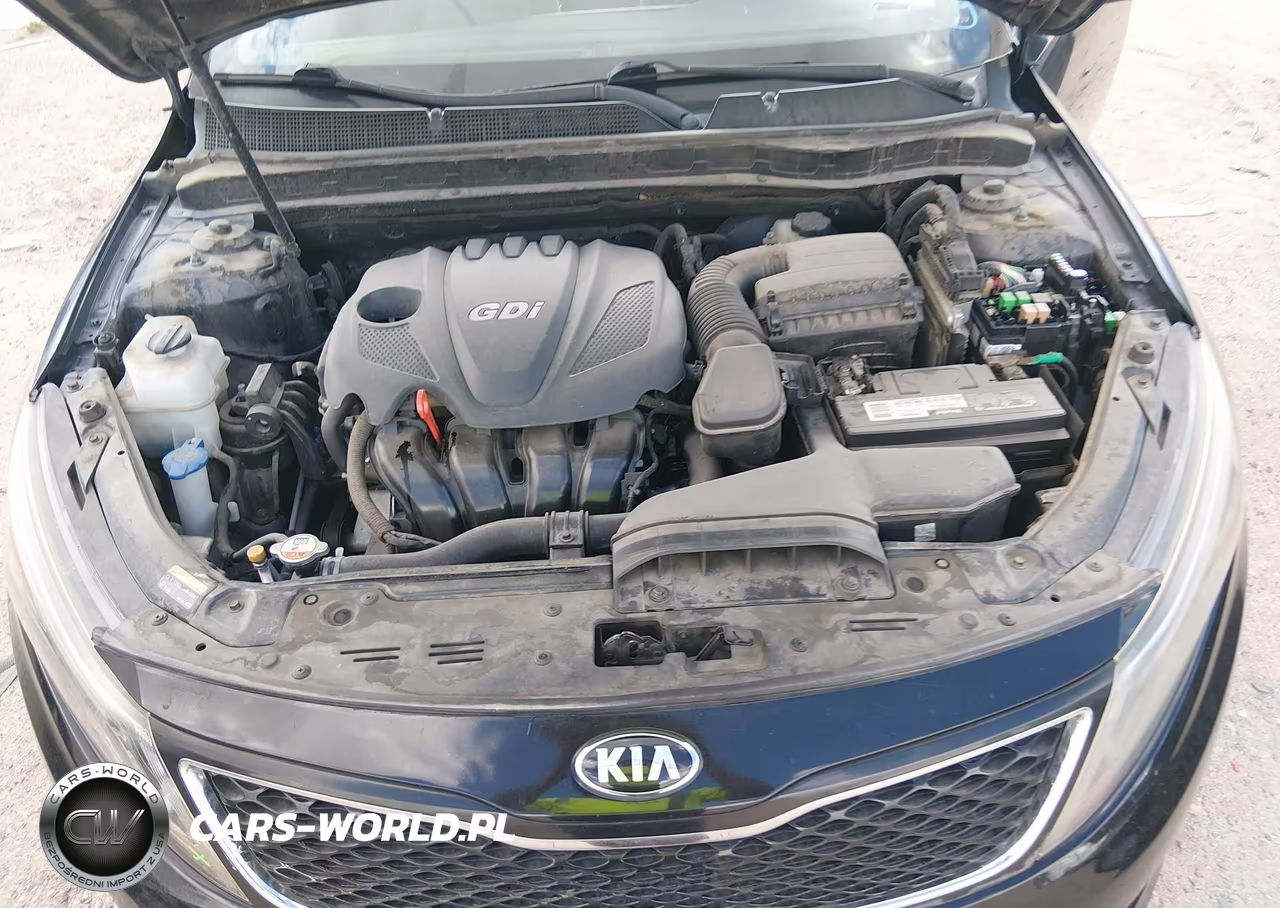 2015 Kia Optima Lx VIN:KNAGM4A79F5619601 - 10
