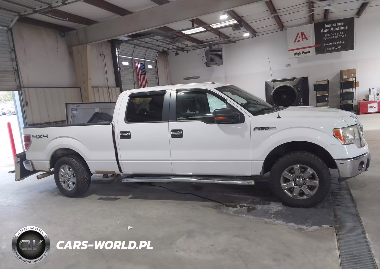 2013 Ford F-150 Xlt VIN:1FTFW1EF8DFD91655 - 14
