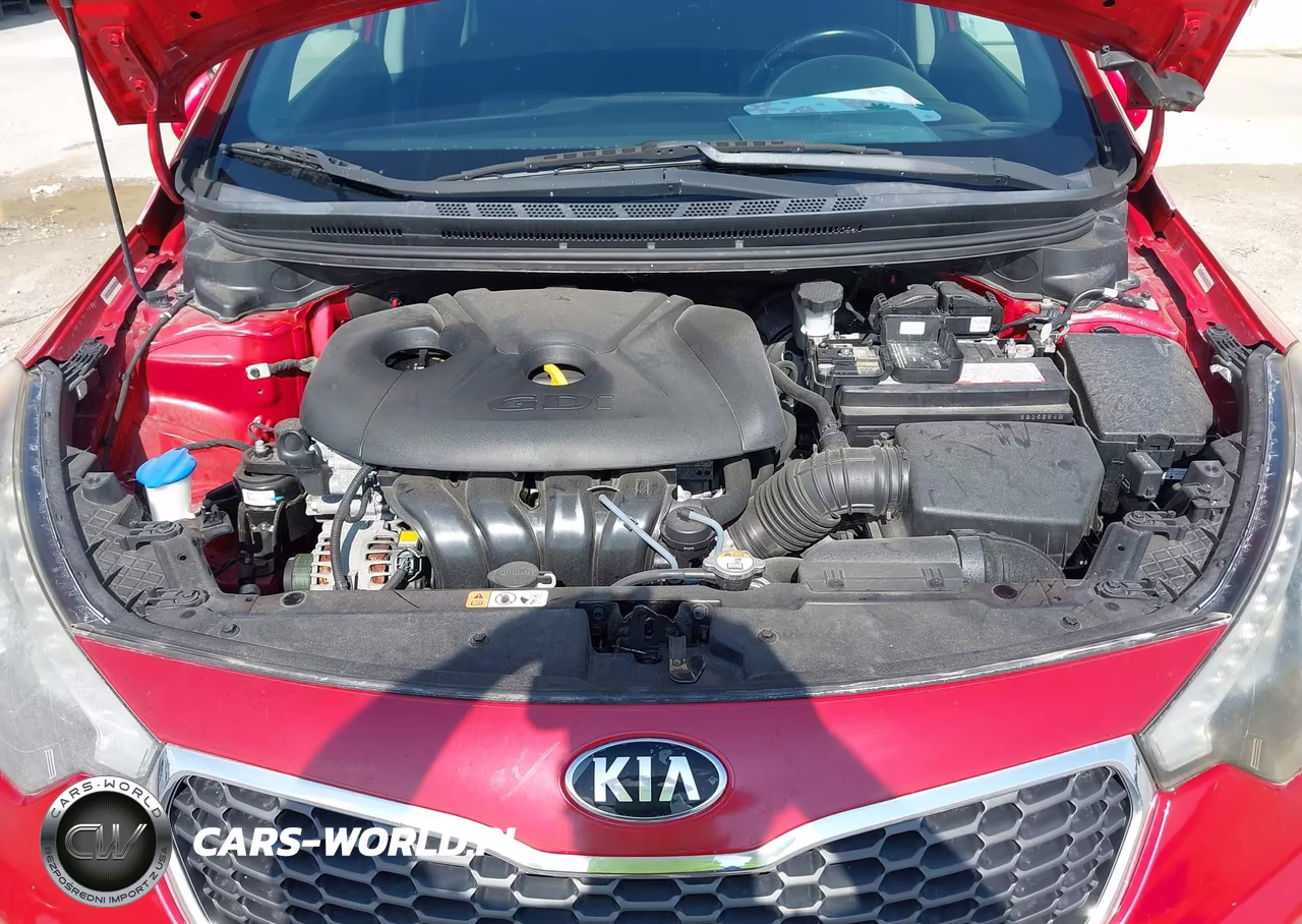 2015 Kia Forte Ex VIN:KNAFX4A85F5315337 - 10