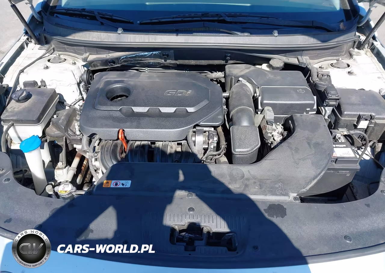 2015 Hyundai Sonata Se VIN:5NPE24AF6FH001658 - 10