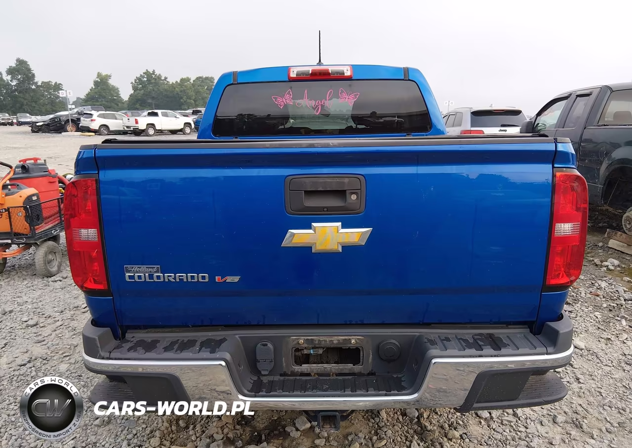 2019 Chevrolet Colorado Wt VIN:1GCGTBEN7K1156376 - 17