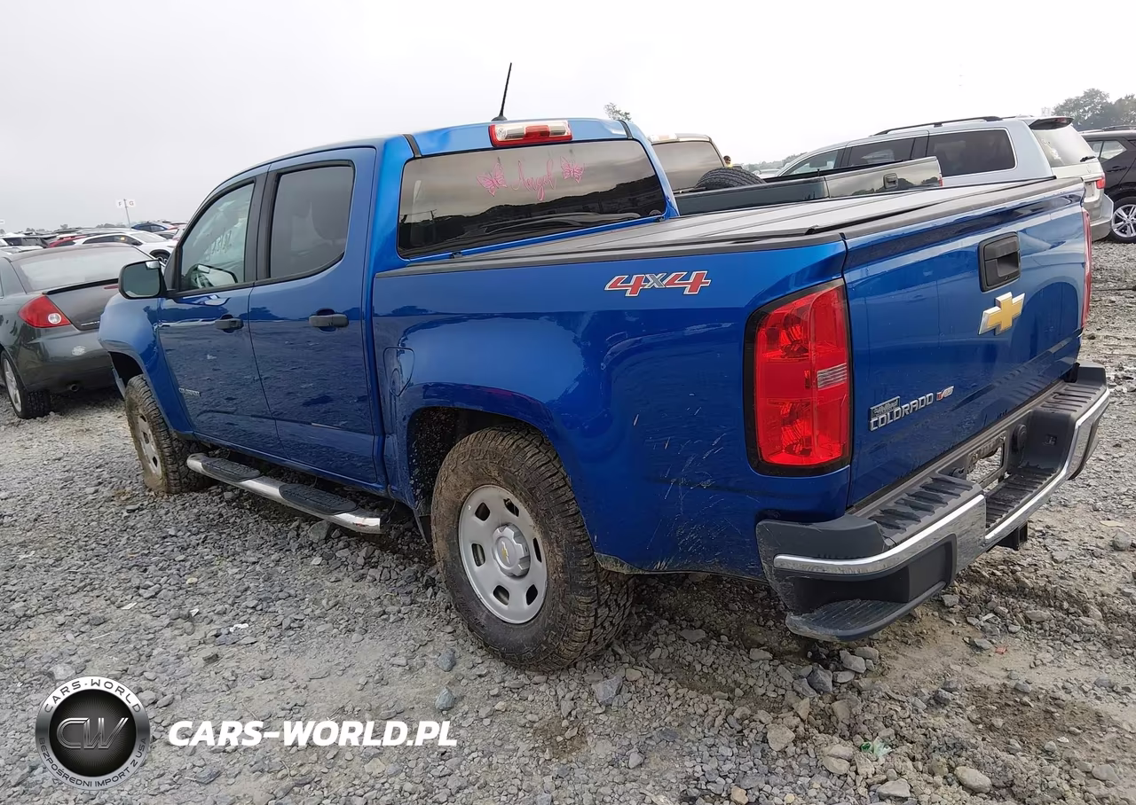 2019 Chevrolet Colorado Wt VIN:1GCGTBEN7K1156376 - 3