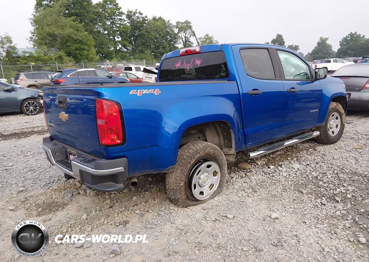 2019 Chevrolet Colorado Wt VIN:1GCGTBEN7K1156376 - 4