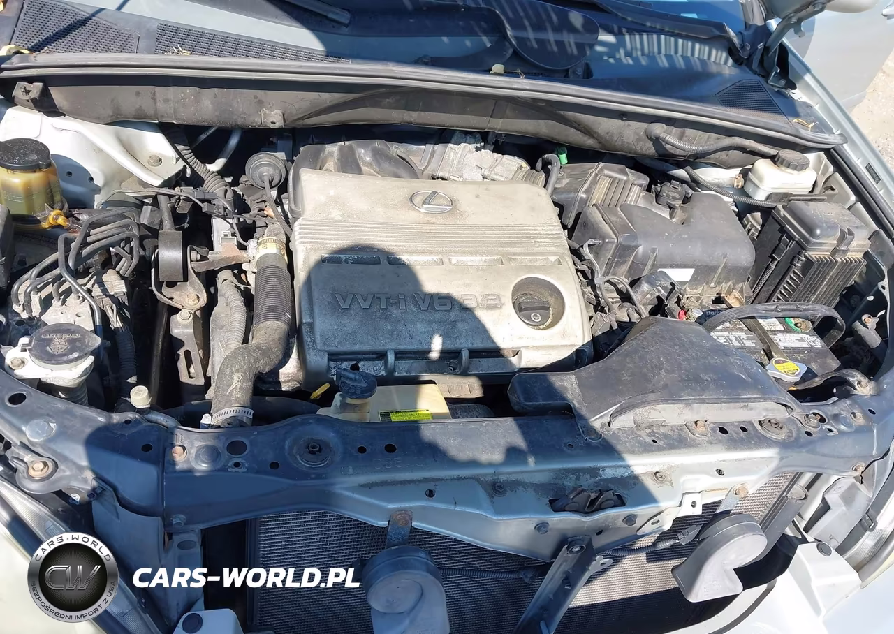 2006 Lexus Rx 330 VIN:2T2HA31U16C106454 - 10