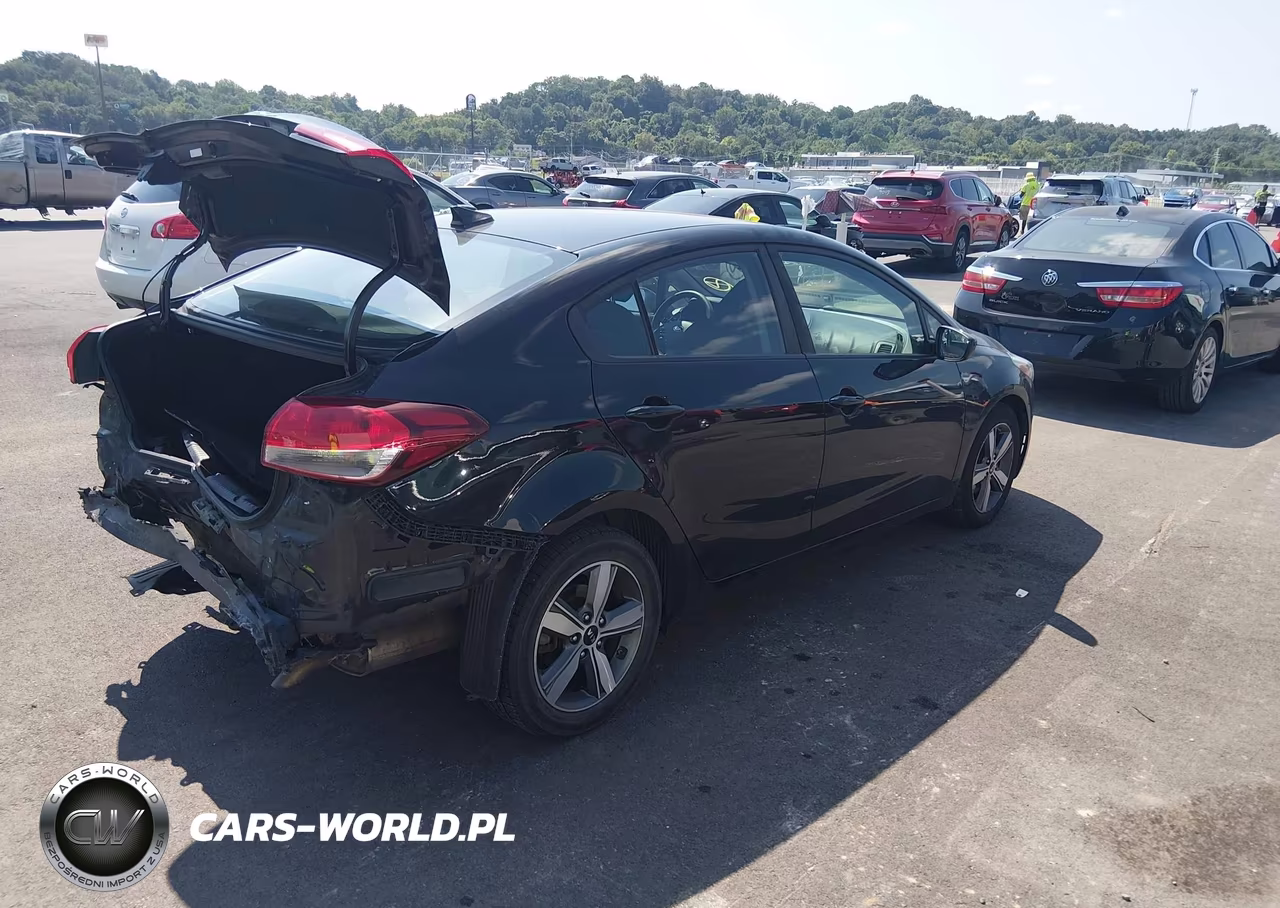 2018 Kia Forte Lx VIN:3KPFL4A78JE257310 - 4