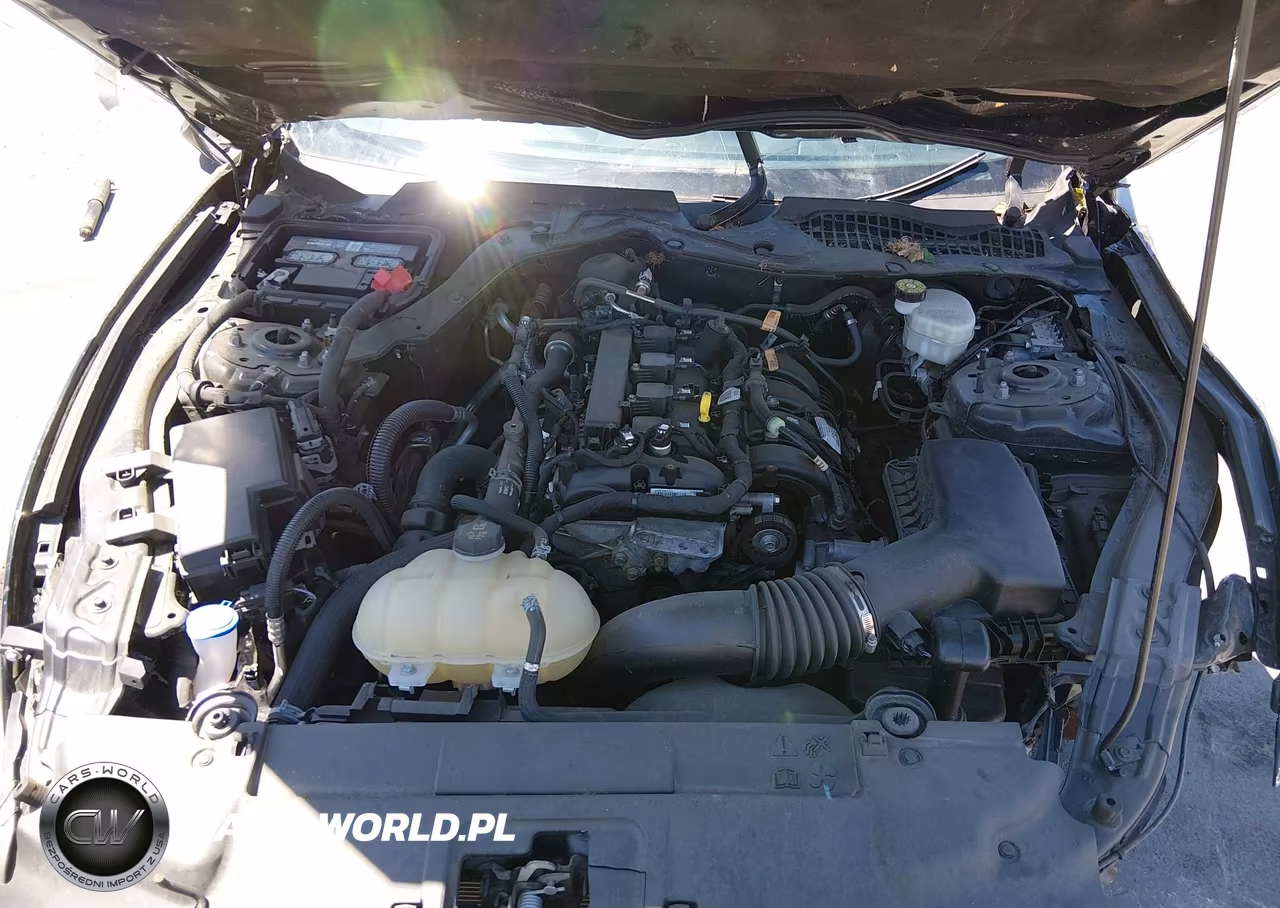 2022 Ford Mustang Ecoboost Fastback VIN:1FA6P8THXN5132592 - 10