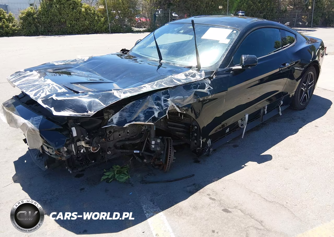 2022 Ford Mustang Ecoboost Fastback VIN:1FA6P8THXN5132592 - 2