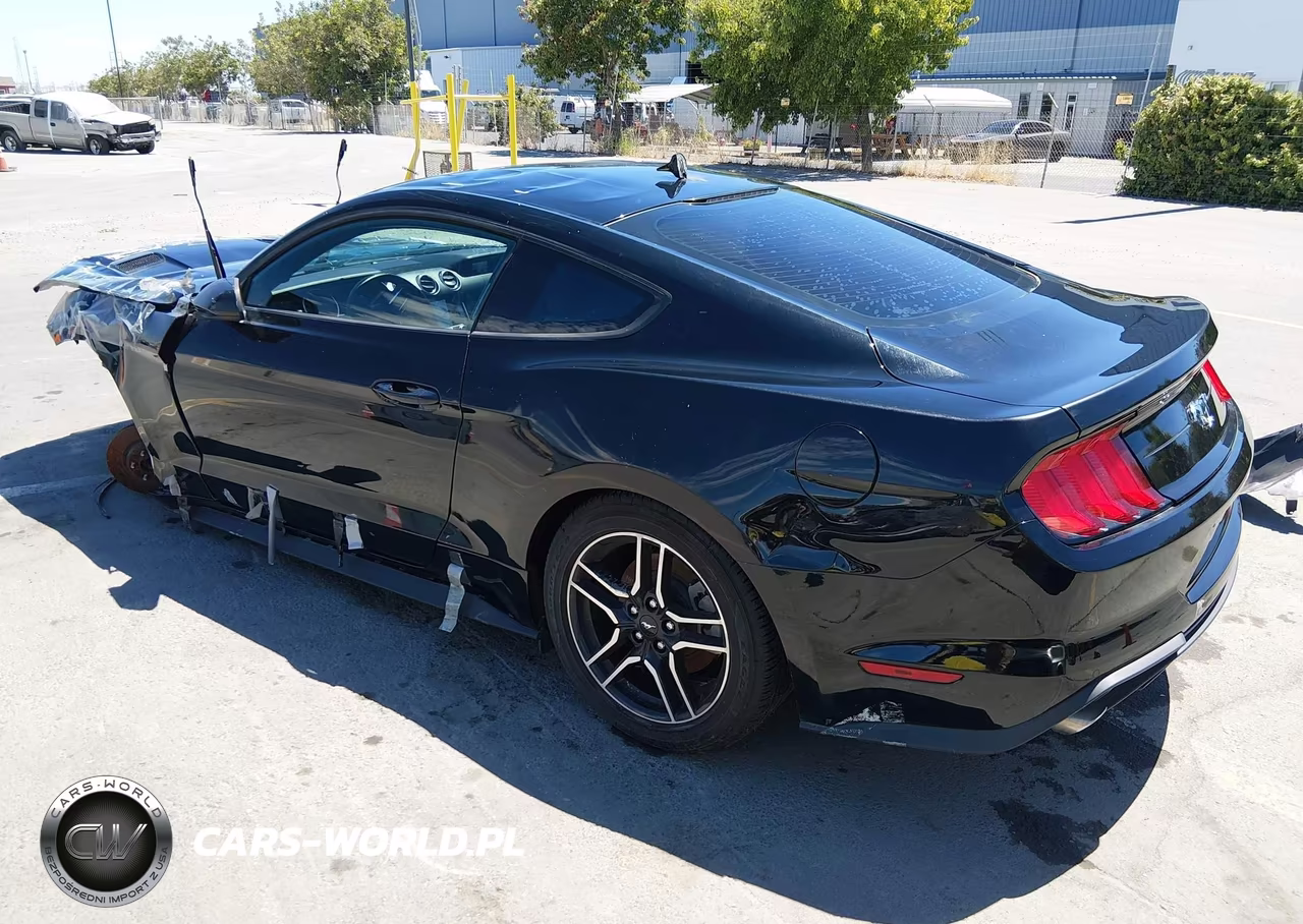 2022 Ford Mustang Ecoboost Fastback VIN:1FA6P8THXN5132592 - 3