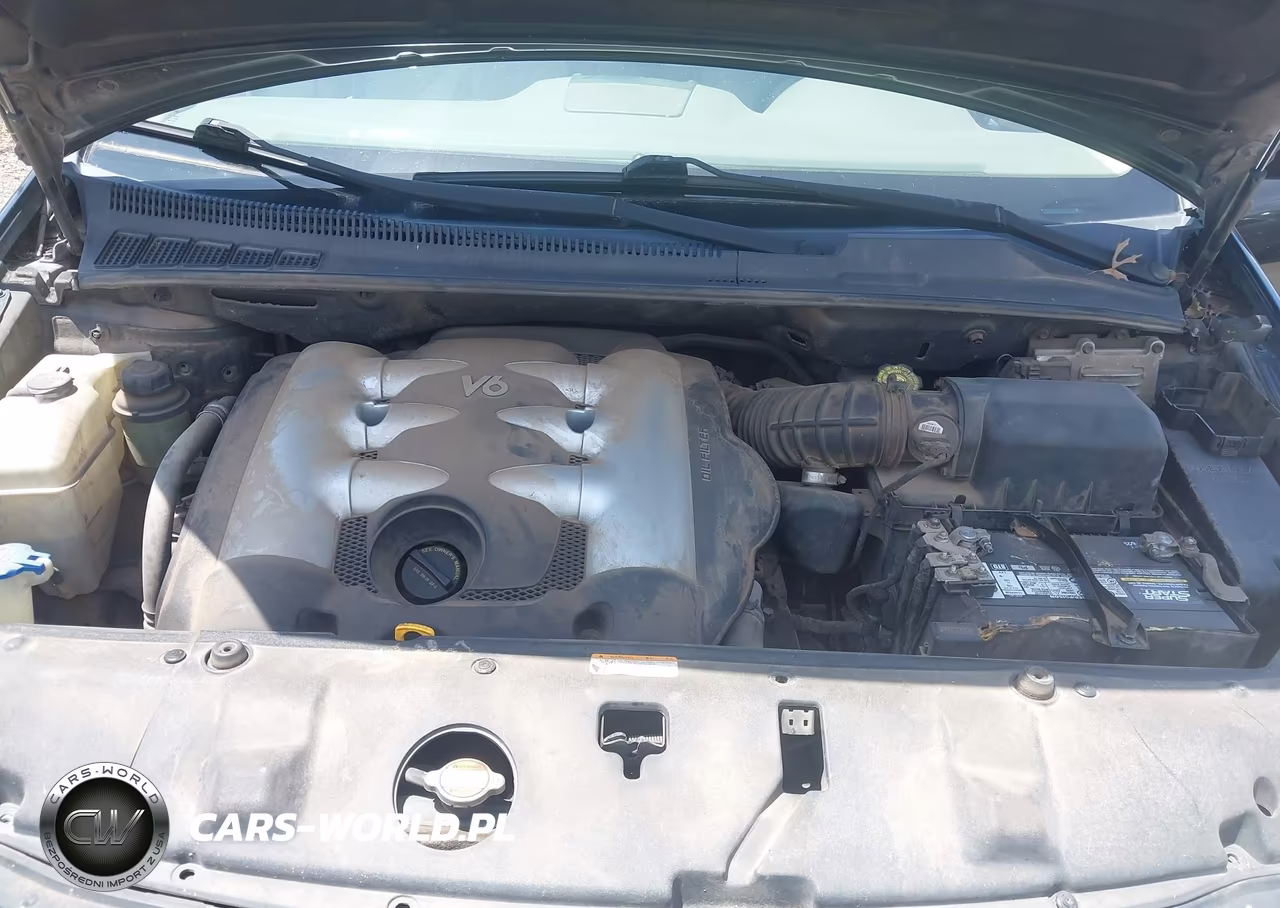 2007 Kia Sedona Lx VIN:KNDMB233376190297 - 10