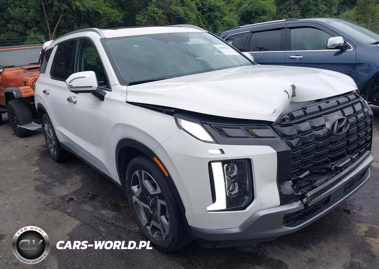 2025 Hyundai Palisade Sel Premium 8P VIN:KM8R44GEXSU876795 - 1