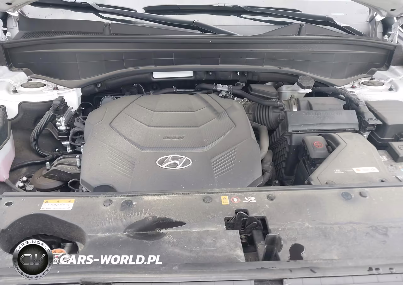 2025 Hyundai Palisade Sel Premium 8P VIN:KM8R44GEXSU876795 - 10