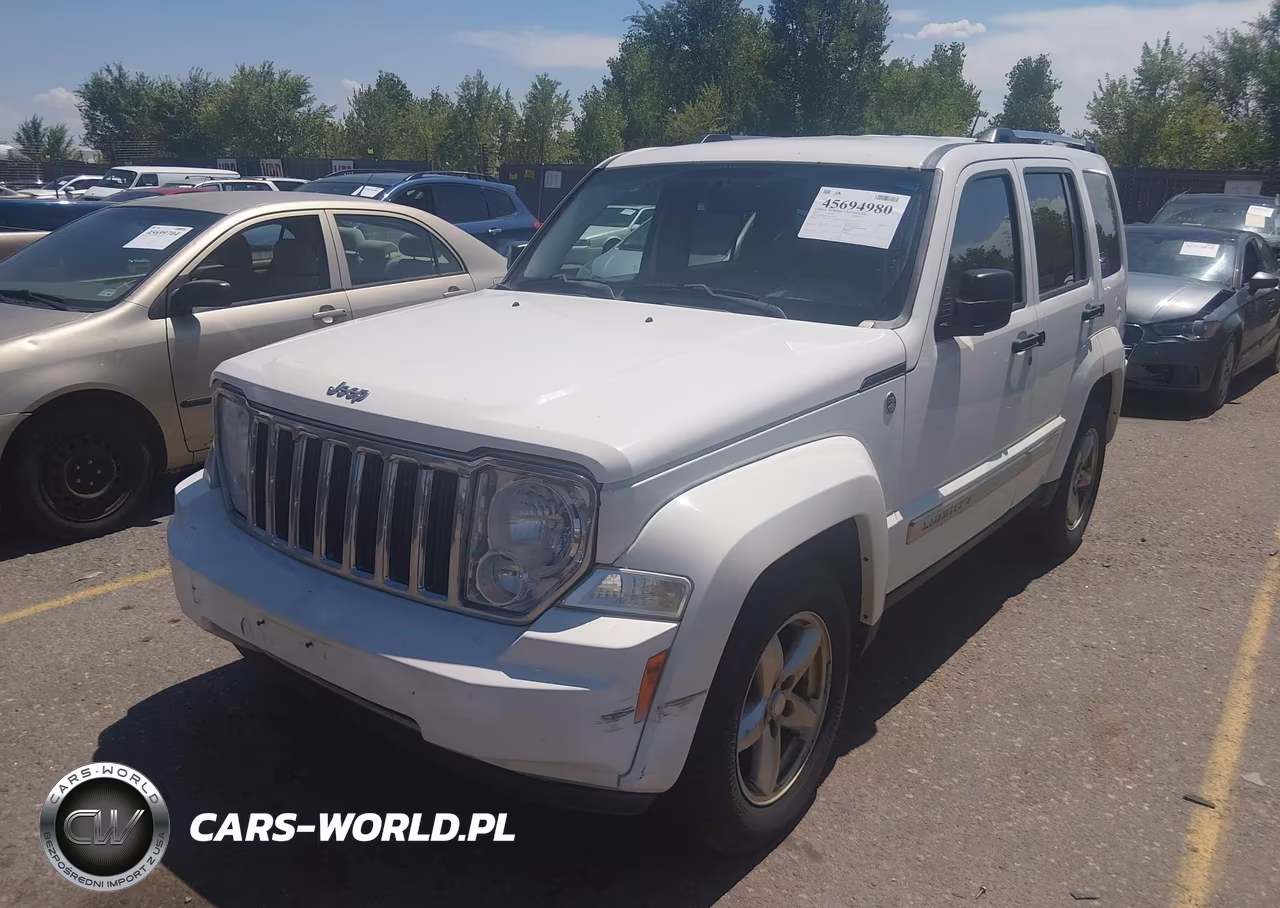 2010 Jeep Liberty Limited VIN:1J4PN5GK2AW133565 - 2