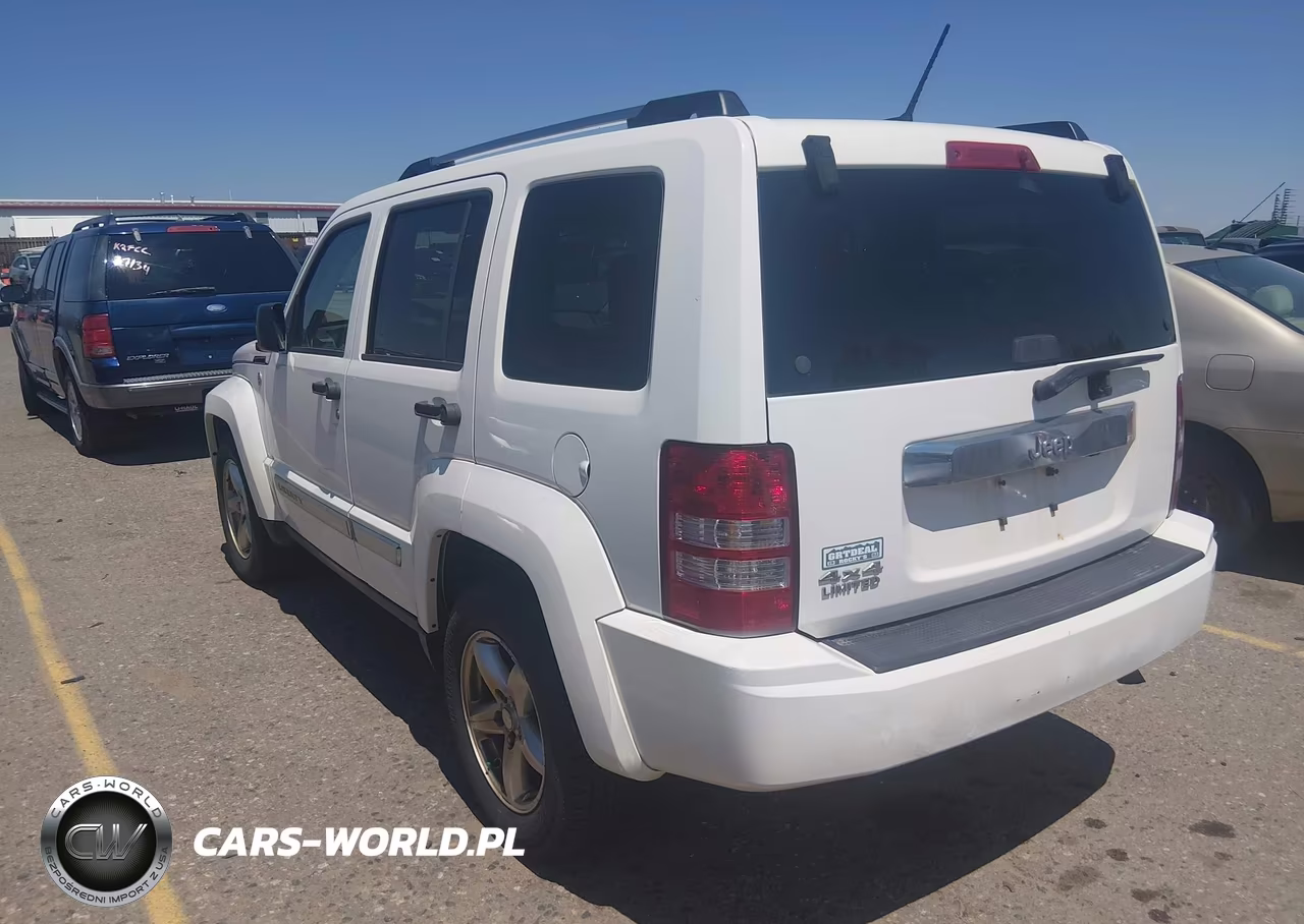 2010 Jeep Liberty Limited VIN:1J4PN5GK2AW133565 - 3