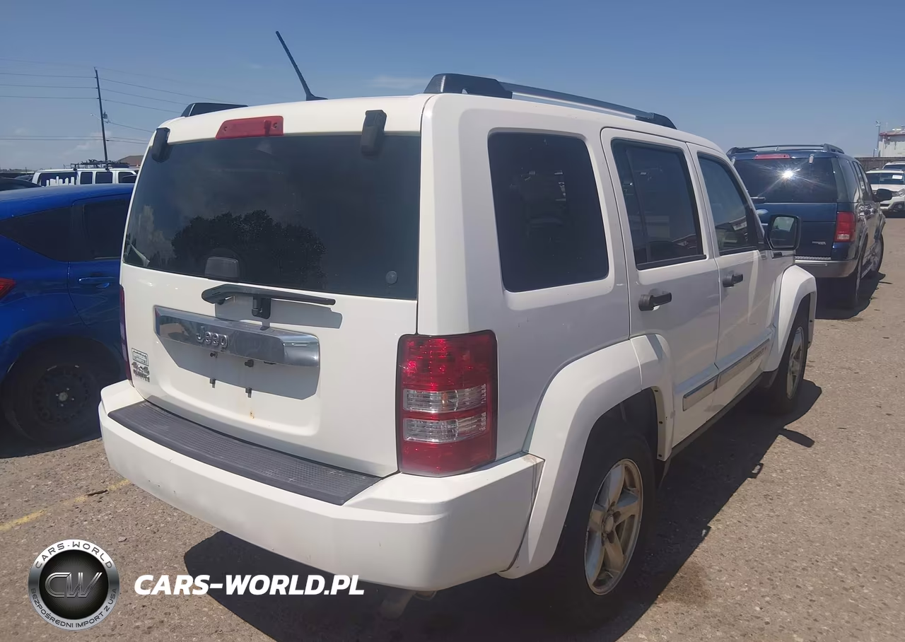 2010 Jeep Liberty Limited VIN:1J4PN5GK2AW133565 - 4