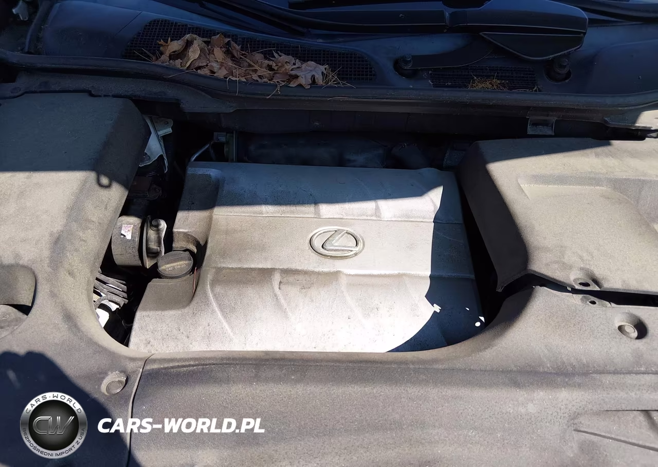 2015 Lexus Rx 350 VIN:2T2BK1BA4FC266582 - 10
