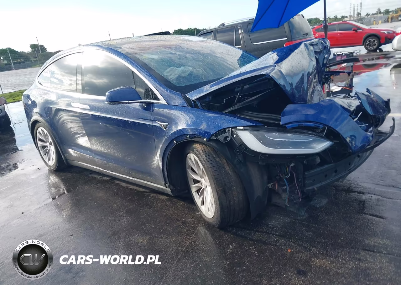 2018 Tesla Model X 100D-75D-P100D VIN:5YJXCBE22JF089357 - 1