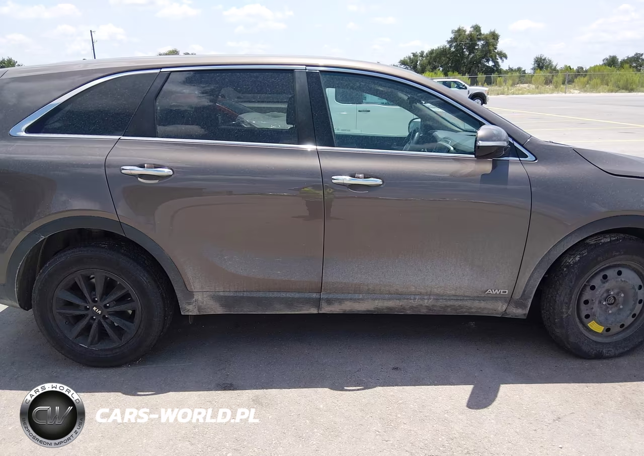 2019 Kia Sorento 2.4L Lx VIN:5XYPGDA38KG480571 - 13