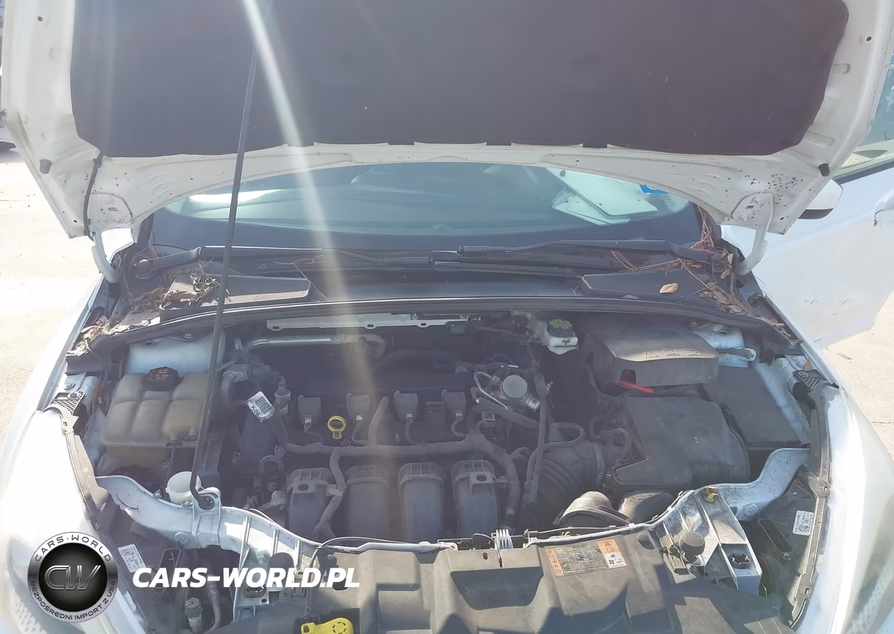 2018 Ford Focus Se VIN:1FADP3K2XJL272445 - 10