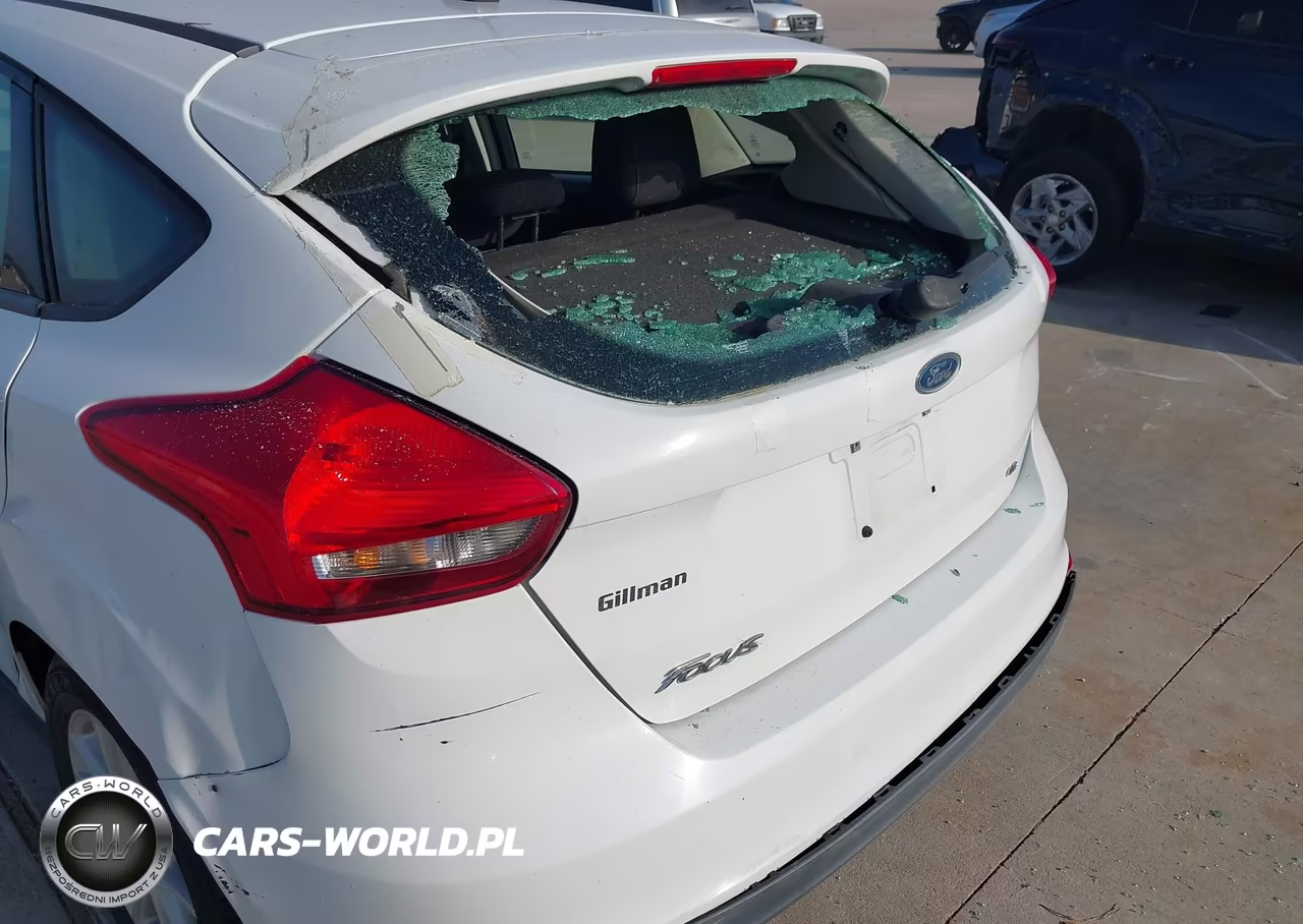 2018 Ford Focus Se VIN:1FADP3K2XJL272445 - 12
