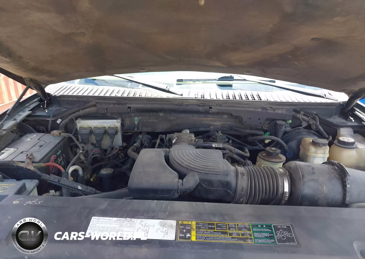 2004 Ford Expedition Eddie Bauer VIN:1FMPU17L44LB77742 - 10