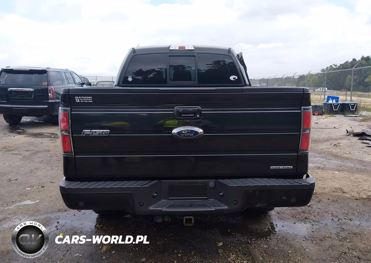 2012 Ford F-150 Fx4 VIN:1FTFW1EF1CFB91490 - 17