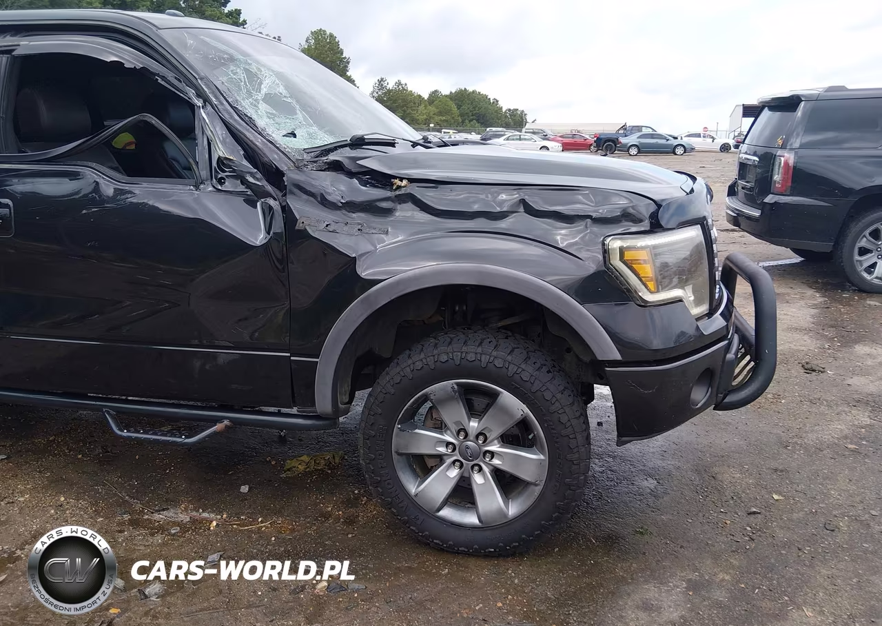 2012 Ford F-150 Fx4 VIN:1FTFW1EF1CFB91490 - 18