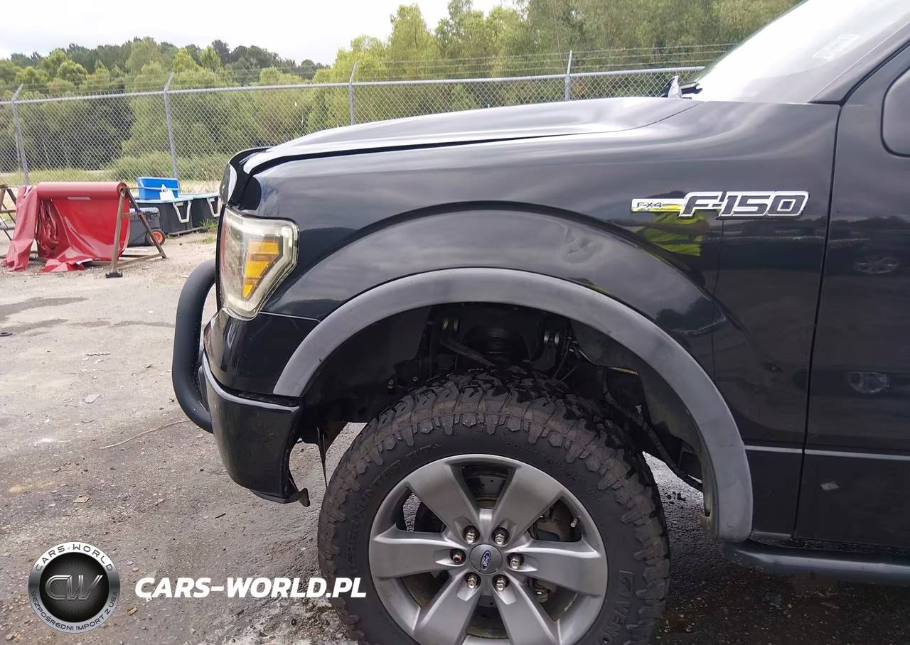 2012 Ford F-150 Fx4 VIN:1FTFW1EF1CFB91490 - 22