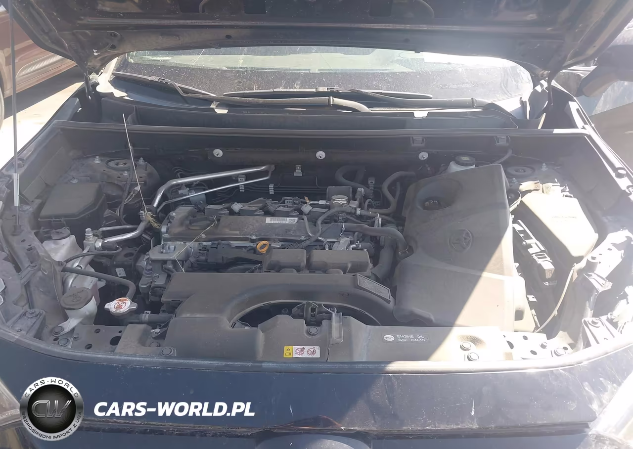2019 Toyota Rav4 Xle VIN:2T3P1RFV6KW017550 - 10