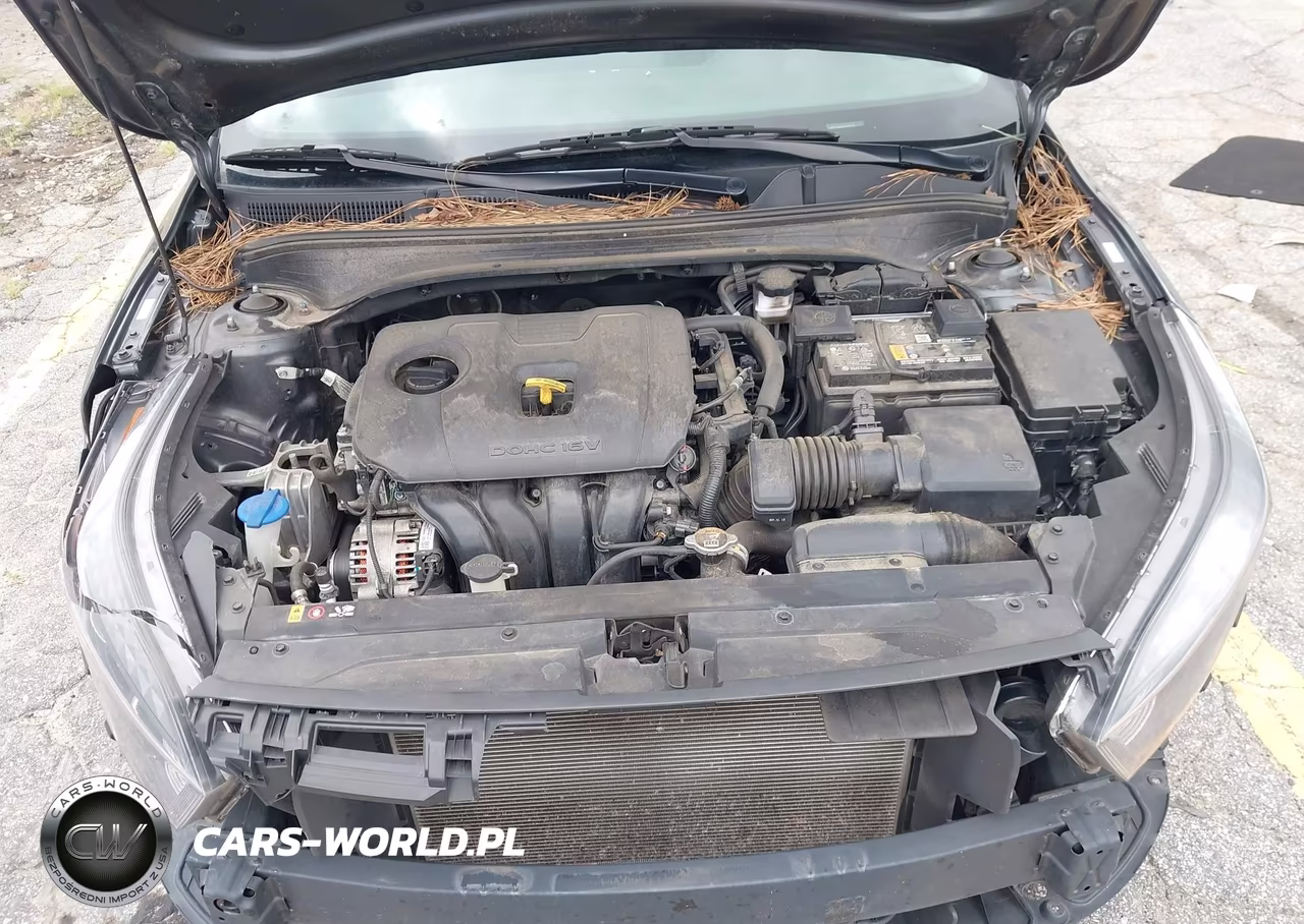 2024 Kia Forte Lxs VIN:3KPF24AD8RE789256 - 10