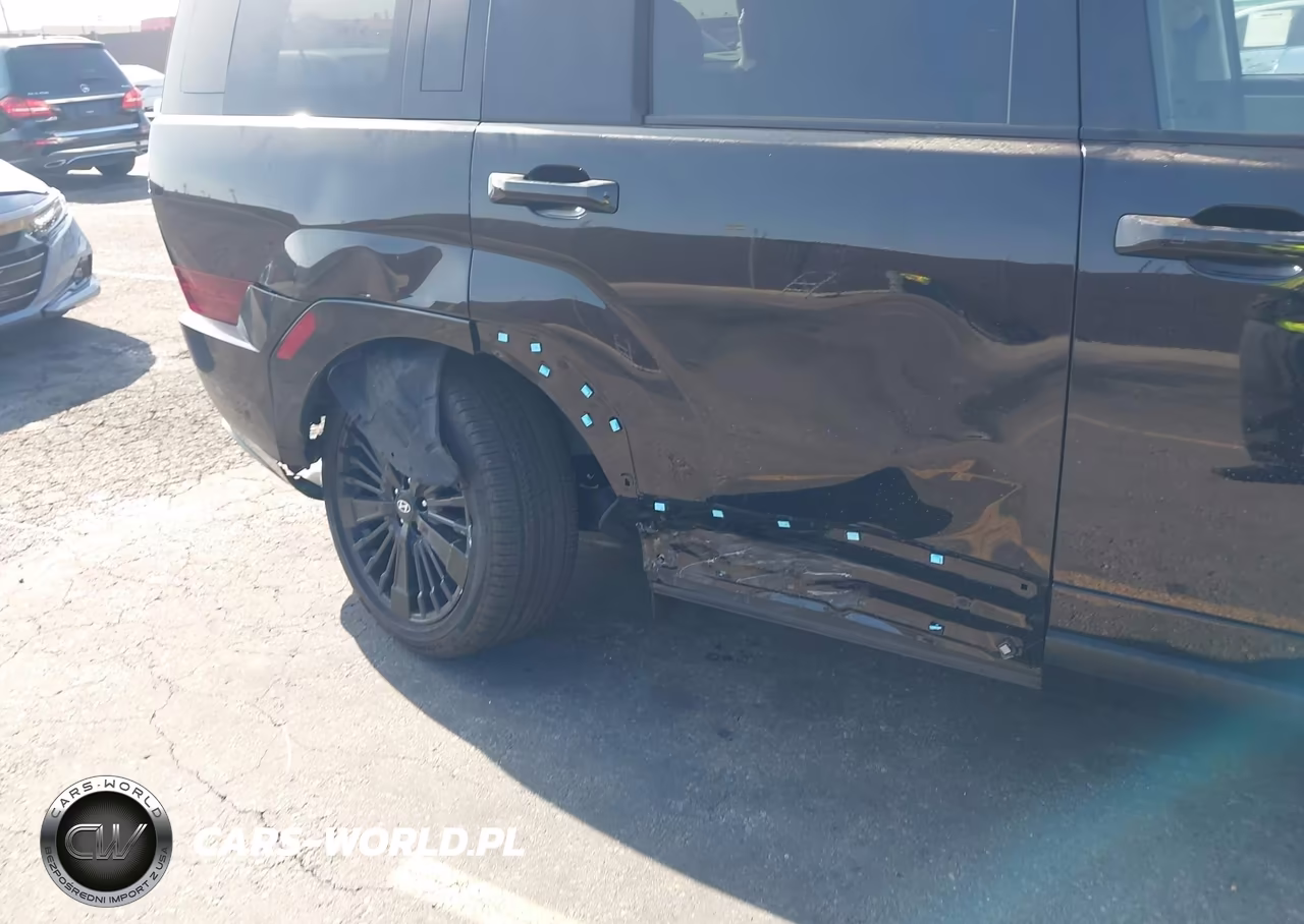 2025 Hyundai Santa Fe Hybrid Calligraphy VIN:5NMP5DG15SH043354 - 6