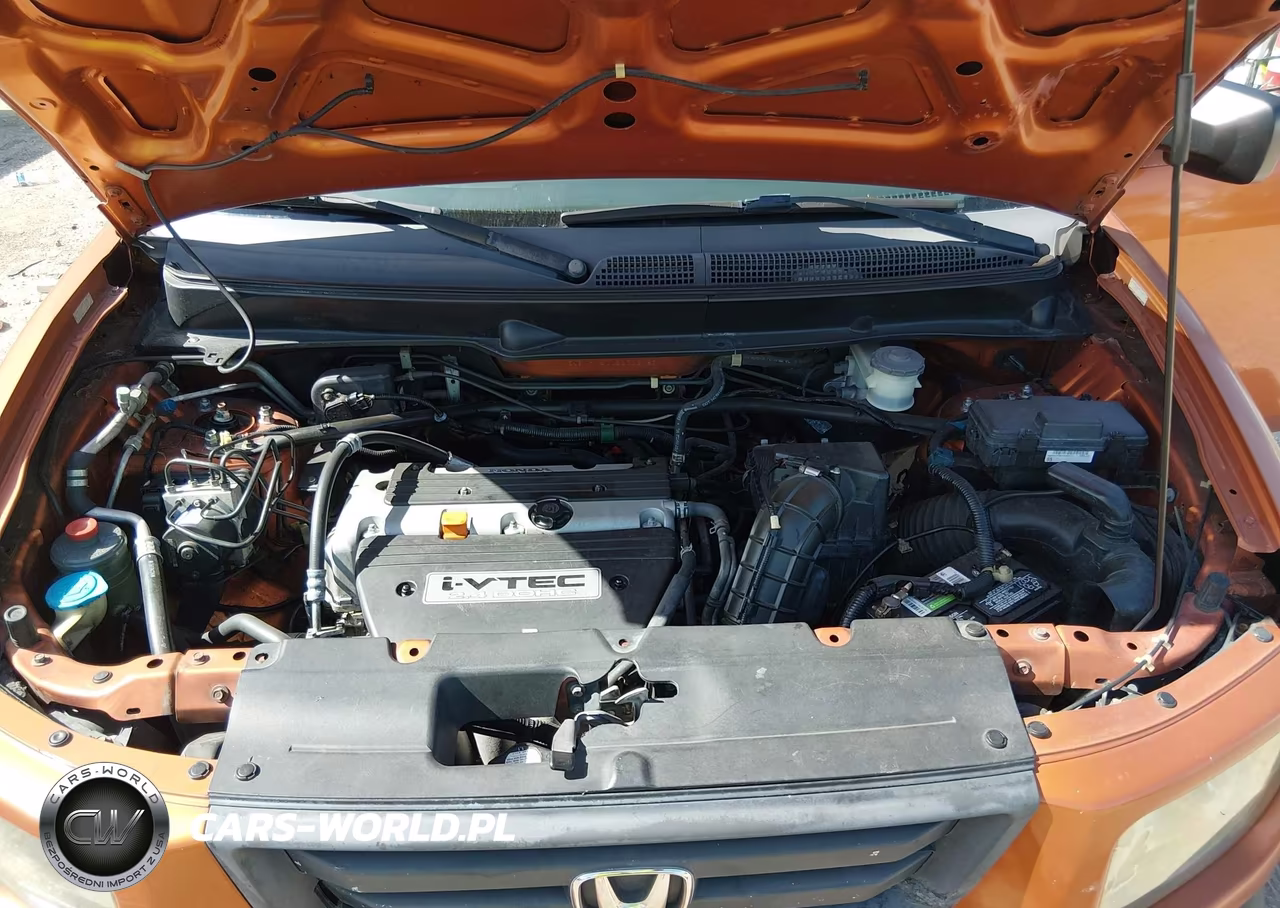 2008 Honda Element Ex VIN:5J6YH18718L003187 - 10